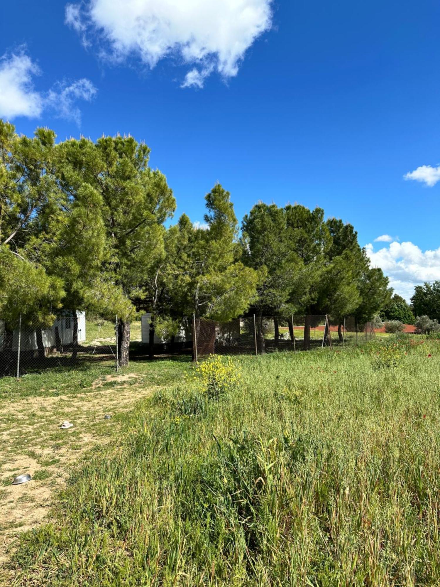 Bungalow Infanta Torrelaguna Buitenkant foto