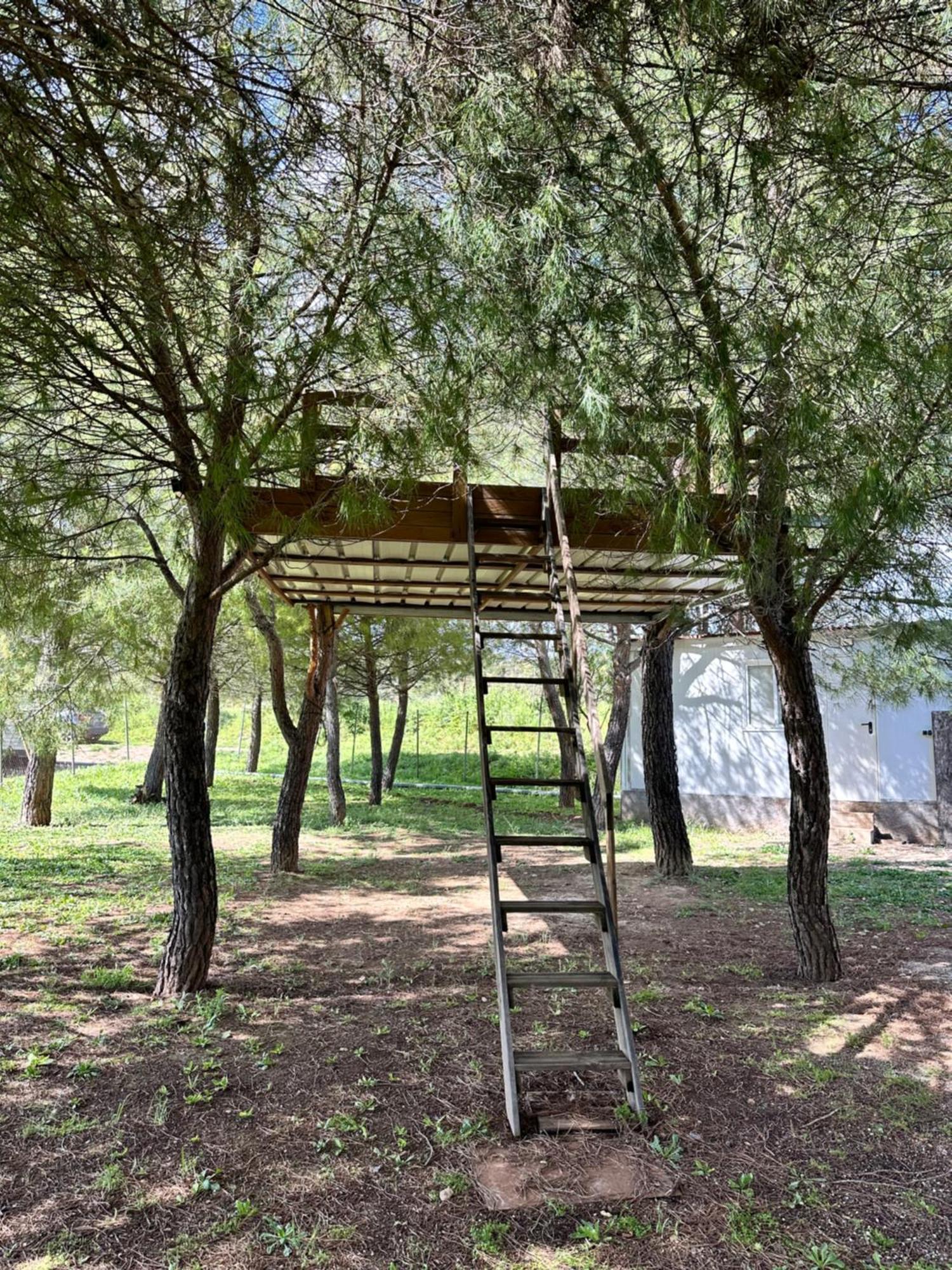 Bungalow Infanta Torrelaguna Buitenkant foto
