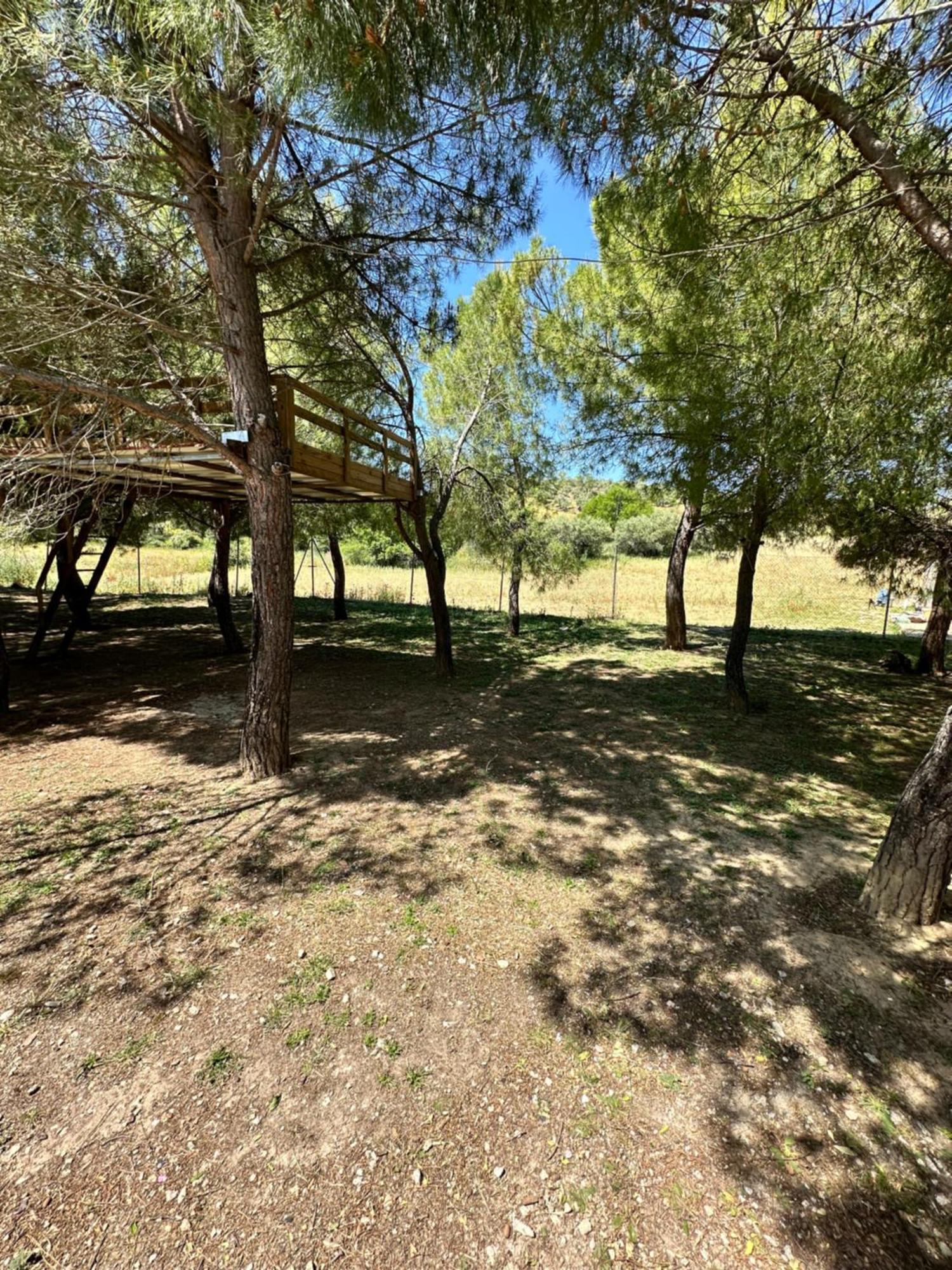 Bungalow Infanta Torrelaguna Buitenkant foto