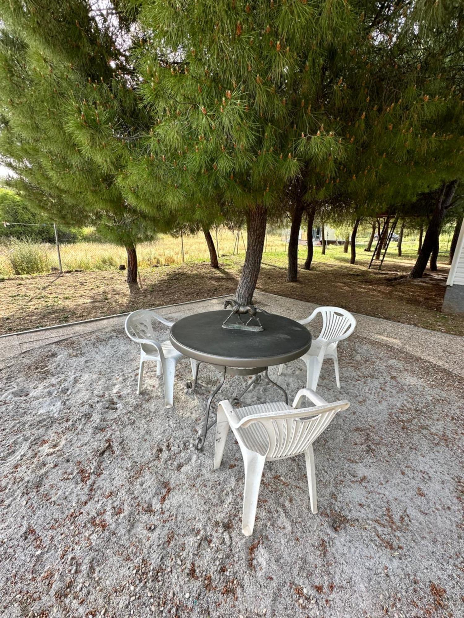 Bungalow Infanta Torrelaguna Buitenkant foto